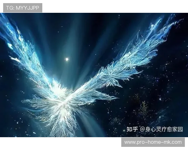 唐纳森谈晋级关键:耐心是第一武器 唐纳森谈晋级关键:耐心是第一武器